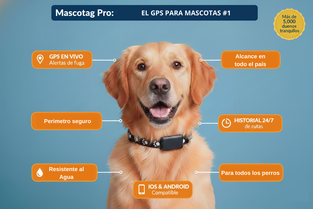Mascotag Pro GPS para perros