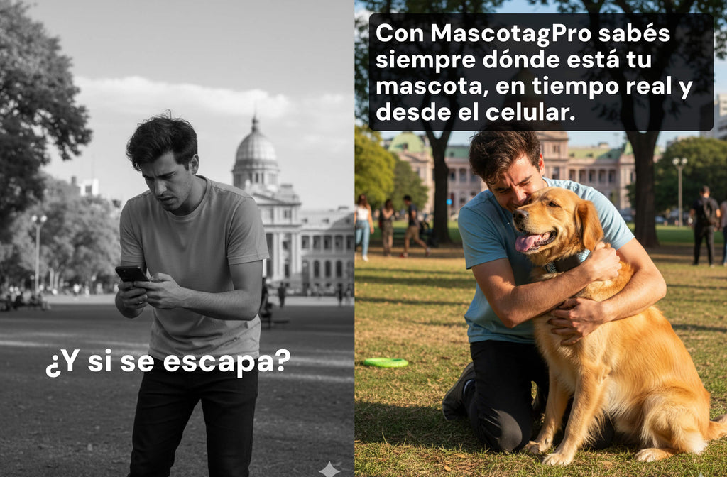 Mascotag Pro GPS para perros