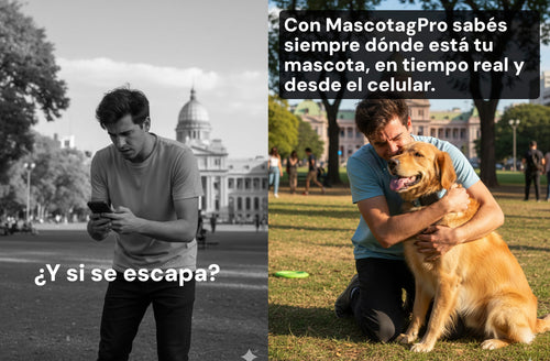 Mascotag Pro GPS para perros